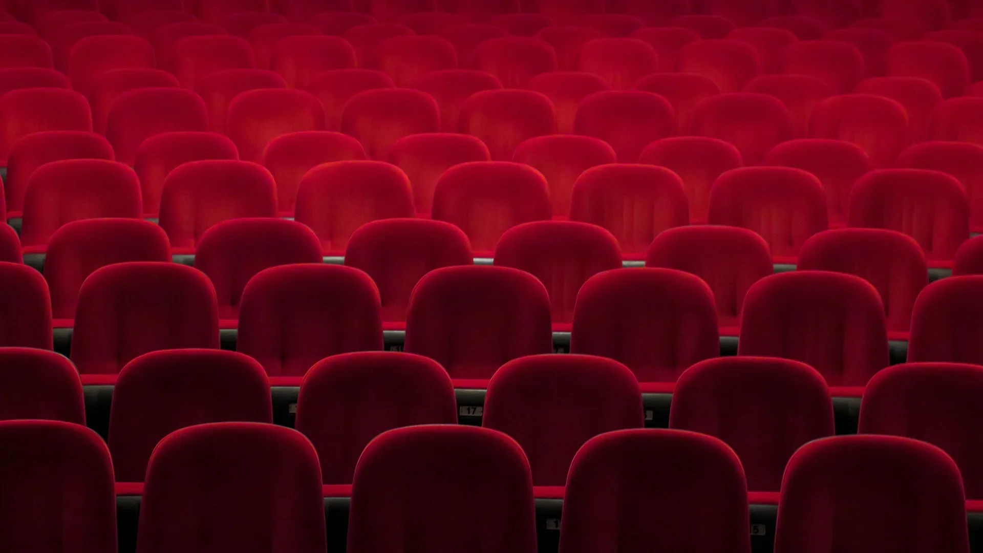 Viana atenta. Cineclubes e associações apelam ao reforço de apoios à exibição cinematográfica