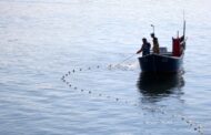 Secretário de Estado das Pescas compromete-se a “tentar” resolver problemas dos pescadores do rio Minho