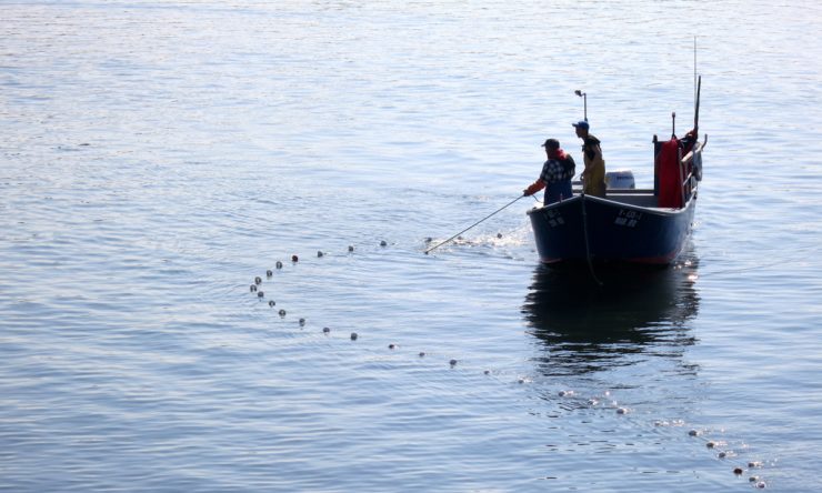 Secretário de Estado das Pescas compromete-se a “tentar” resolver problemas dos pescadores do rio Minho