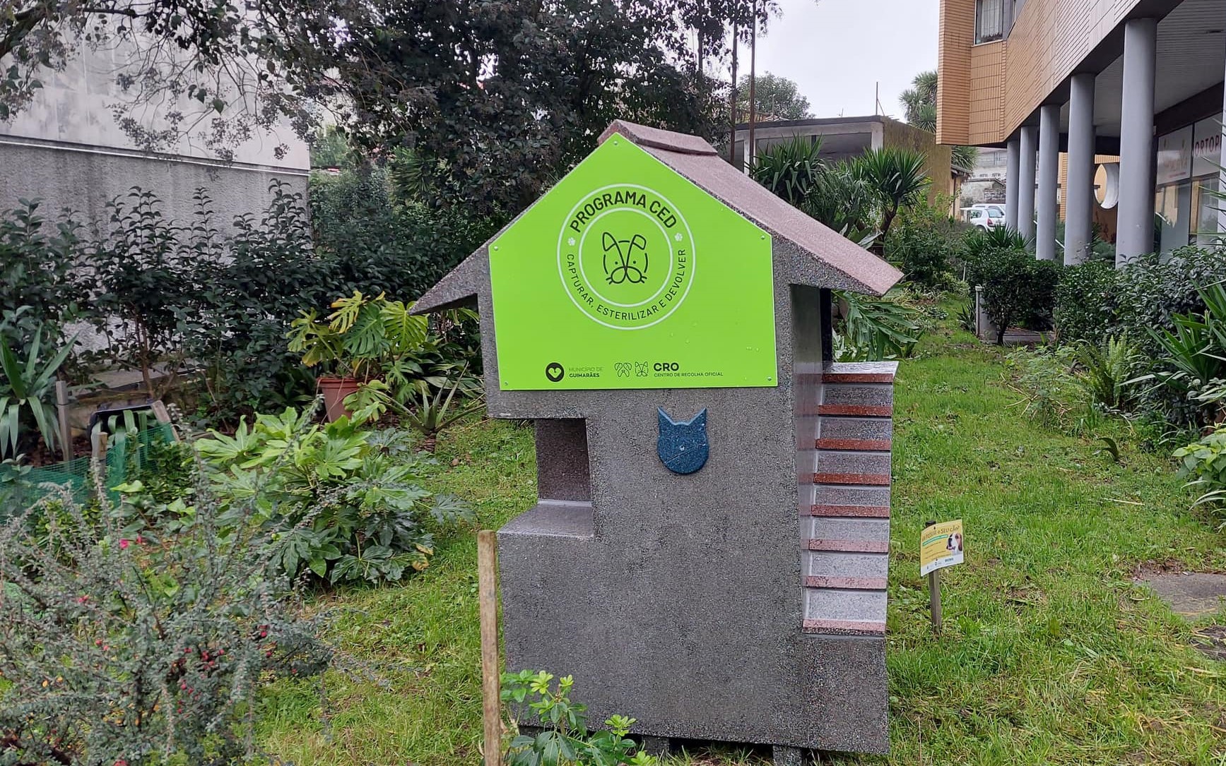 Mortalidade anormal denunciada às autoridades. Mais de uma dezena de gatos encontrados mortos em Guimarães