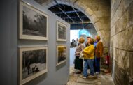 Manuel Rocha mostra escultura e fotografia em Viana