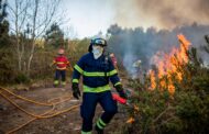 Operação de fogo controlado prepara Barcelos para defesa da floresta contra incêndios
