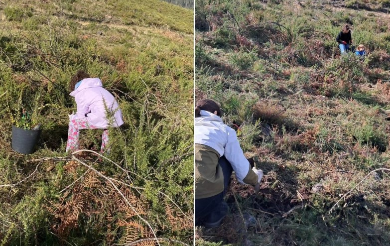 Cerveira. ‘Semente Sorridente’ refloresta freguesia de Covas