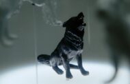 Rodado em Arcos de Valdevez, ‘Fosfeno’ estreia no Festival de Cinema de Salónica (Grécia)
