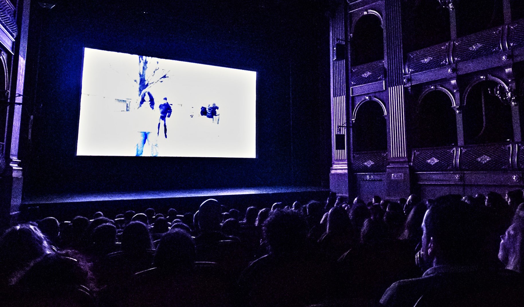 Encontros de Cinema de Viana regressa em maio com tributo a João Canijo