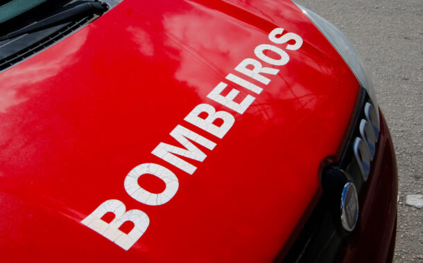 Cão provoca despiste de motociclista em Arcos de Valdevez