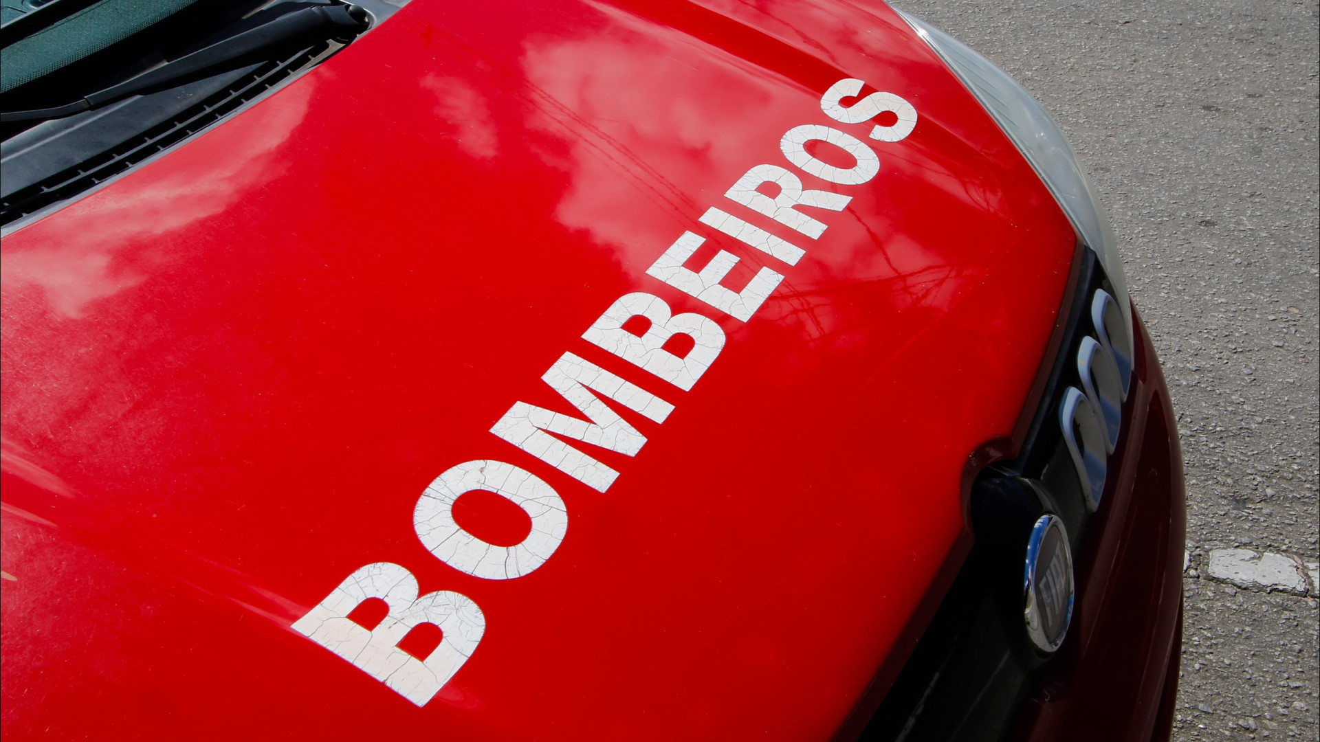 Cão provoca despiste de motociclista em Arcos de Valdevez