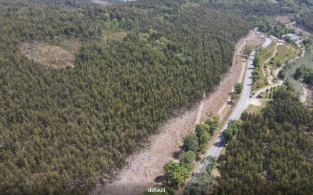 Braga planta quase duas mil árvores para reforçar floresta e prevenir incêndios