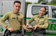 GNR resgata tartaruga exótica em quinta de Ponte de Lima