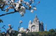 Viana do Castelo avança com grupo de trabalho para criação de Polícia Municipal