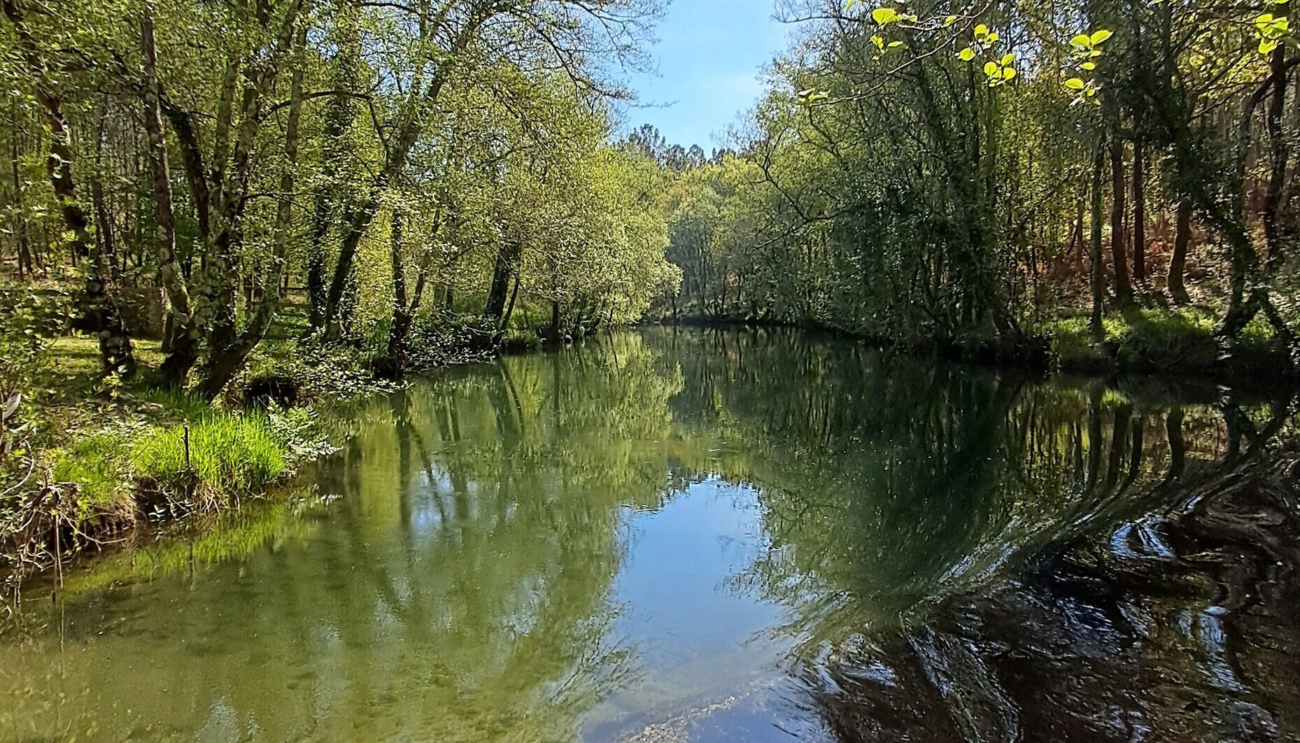 Câmara de Viana avalia estado dos rios Lima, Âncora e Neiva