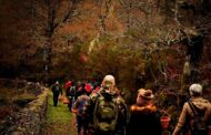 Melgaço promove caminhada no PNPG para descobrir flora de Castro Laboreiro
