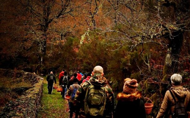 Melgaço promove caminhada no PNPG para descobrir flora de Castro Laboreiro