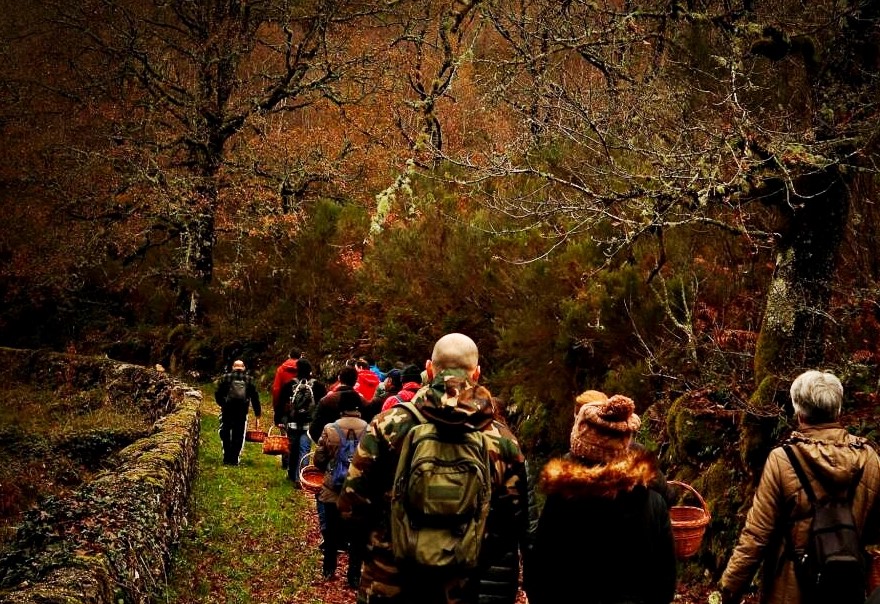 Melgaço promove caminhada no PNPG para descobrir flora de Castro Laboreiro
