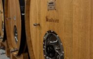 Melgaço. Soalheiro entra para top mundial das marcas de vinho mais influentes