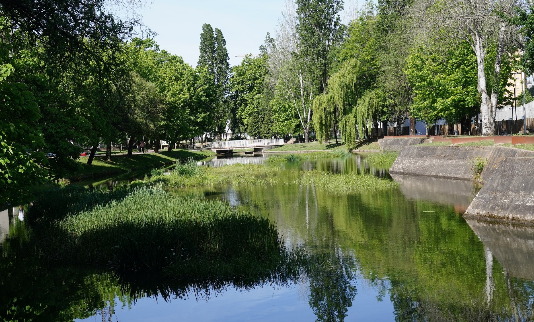 Câmara de Braga avança com posse administrativa para criar Parque Ecológico do Rio Este