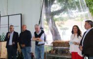 Arcos de Valdevez anuncia novos apoios aos agricultores e produtores locais