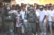 Cisjordânia. Principais países europeus pedem a Israel fim de “violência sem precedentes” e expansão de colonatos