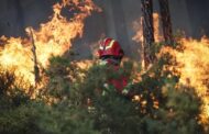 Governo quer usar IA no combate aos incêndios “ainda este ano” e admite alargar prazo de limpeza de terrenos