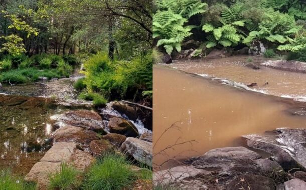 Viana. Junta de Freixieiro de Soutelo denuncia poluição no rio Âncora