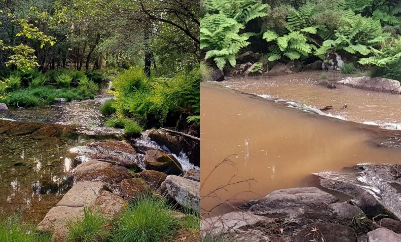 Viana. Junta de Freixieiro de Soutelo denuncia poluição no rio Âncora