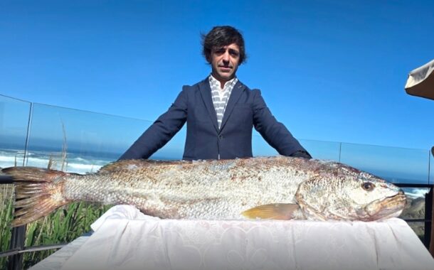 Corvina de 30 quilos pescada ao largo de Viana