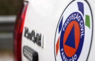 Proteção Civil de Famalicão já limpou mais de 50 hectares de floresta