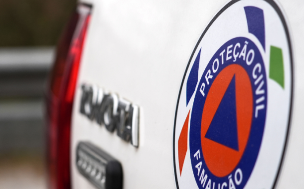 Proteção Civil de Famalicão já limpou mais de 50 hectares de floresta