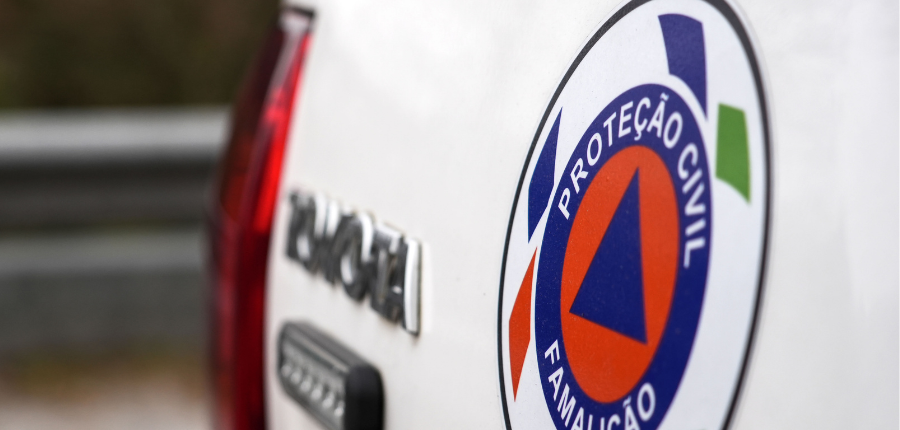 Proteção Civil de Famalicão já limpou mais de 50 hectares de floresta