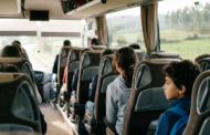 Câmara de Guimarães promove passeios para mais novos e mais velhos