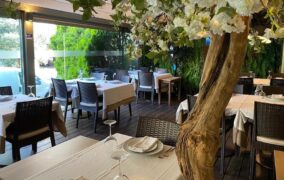 Braga. PSP detém dois suspeitos de assalto violento ao Restaurante Tia Isabel