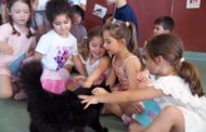 Projeto Escola Amiga dos Animais chega a cerca de 3800 crianças e jovens em Braga