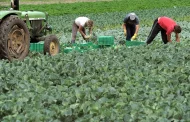 Bruxelas atribui 30 milhões em apoio aos agricultores portugueses