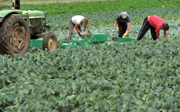 Bruxelas atribui 30 milhões em apoio aos agricultores portugueses