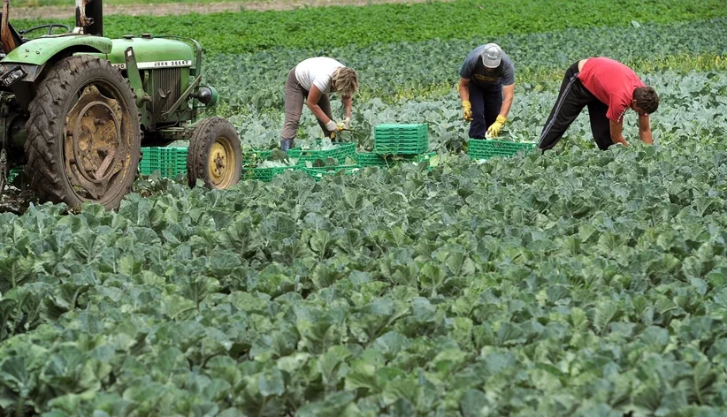 Bruxelas atribui 30 milhões em apoio aos agricultores portugueses