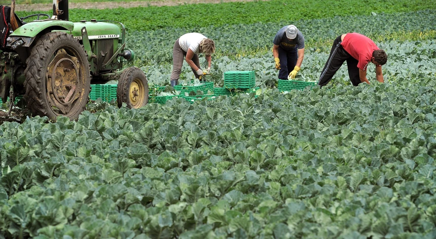 Bruxelas atribui 30 milhões em apoio aos agricultores portugueses