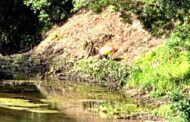 Arranca limpeza do Rio Coura em Caminha