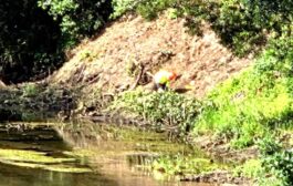 Arranca limpeza do Rio Coura em Caminha