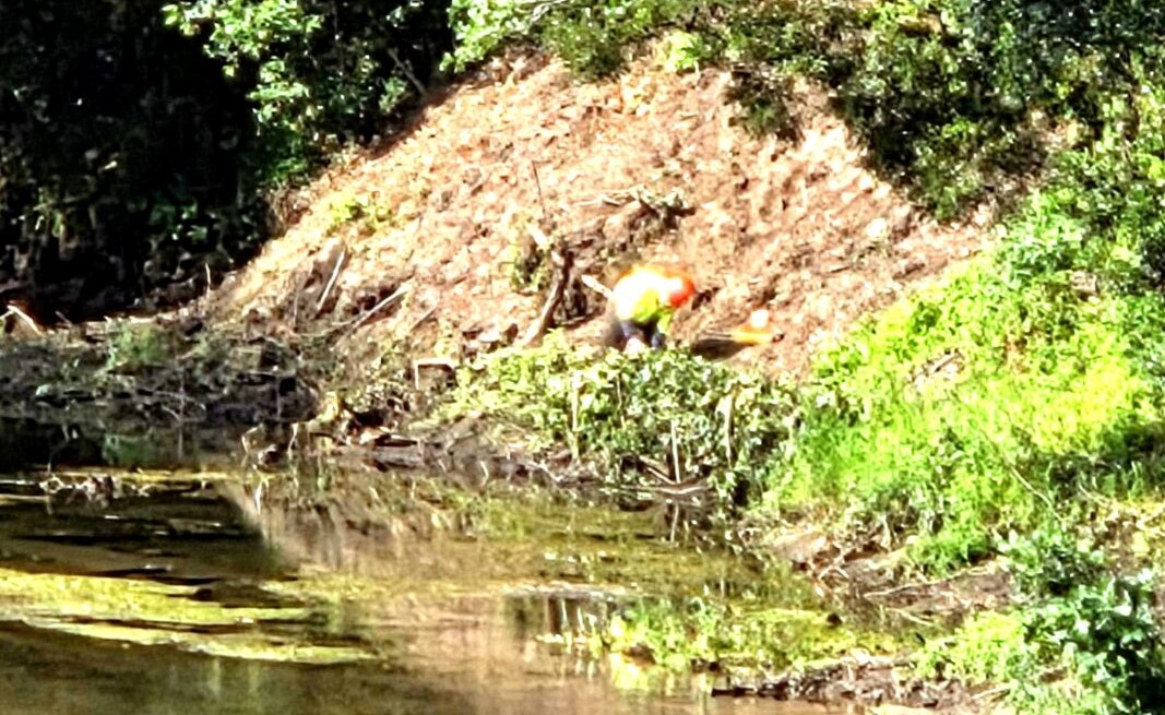 Arranca limpeza do Rio Coura em Caminha