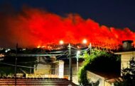 PS acusa Câmara de Famalicão de negligenciar caminhos florestais