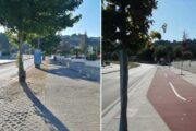 SOS Árvores de Braga assinala seis anos sobre “abate ignóbil” de árvores na Avenida dos Lusíadas
