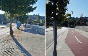 SOS Árvores de Braga assinala seis anos sobre “abate ignóbil” de árvores na Avenida dos Lusíadas