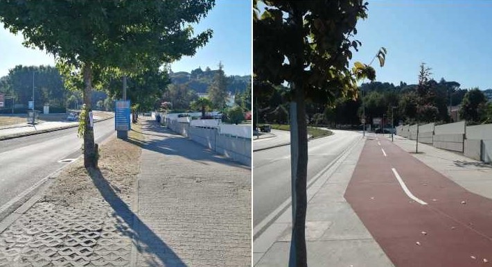 SOS Árvores de Braga assinala seis anos sobre “abate ignóbil” de árvores na Avenida dos Lusíadas