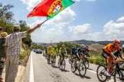 Bloco de Esquerda questiona Governo sobre impactos ambientais da Volta a Portugal na Mata de Albergaria