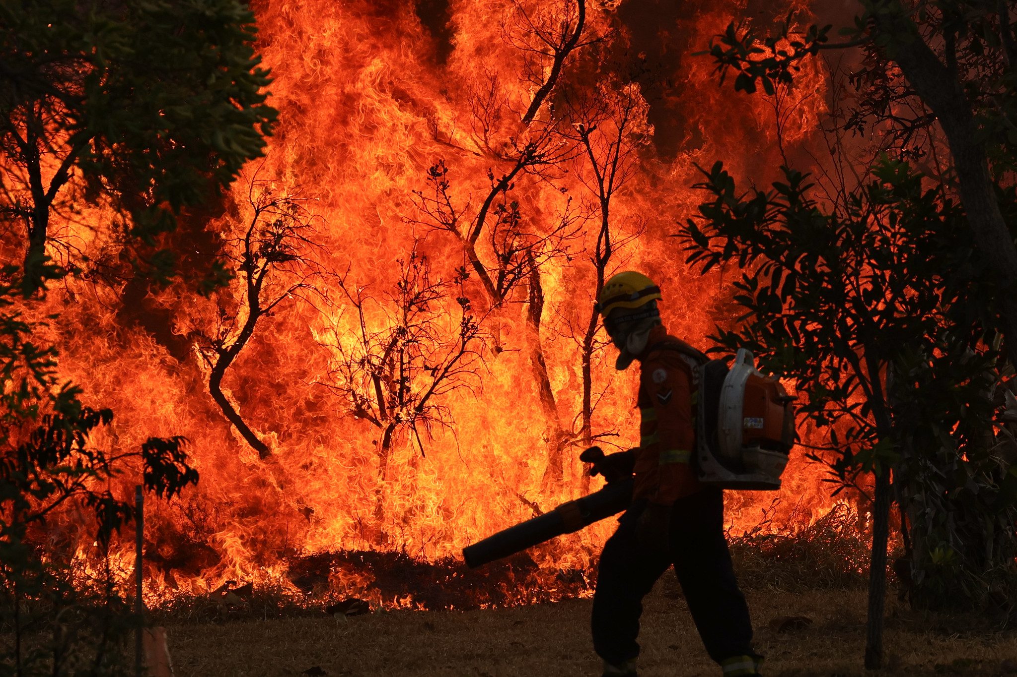 Europa enfrenta incêndios, tempestades e calor extremo sem tréguas